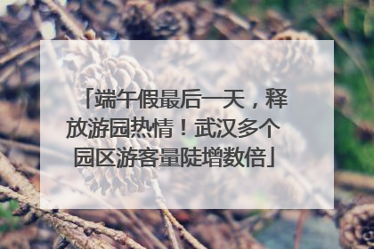 端午假最后一天，释放游园热情！武汉多个园区游客量陡增数倍