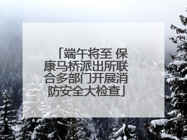端午将至 保康马桥派出所联合多部门开展消防安全大检查