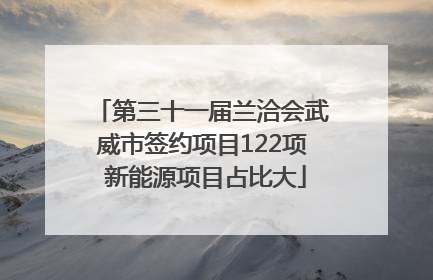第三十一届兰洽会武威市签约项目122项 新能源项目占比大