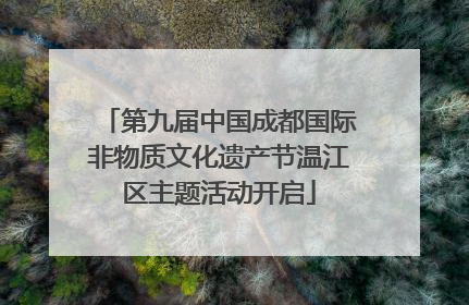 第九届中国成都国际非物质文化遗产节温江区主题活动开启