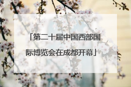 第二十届中国西部国际博览会在成都开幕