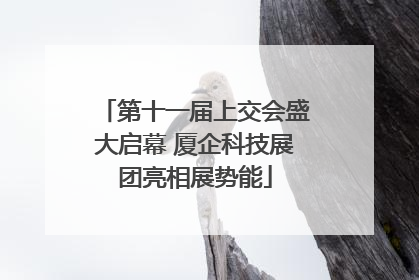 第十一届上交会盛大启幕 厦企科技展团亮相展势能