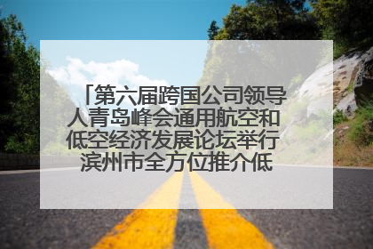 第六届跨国公司领导人青岛峰会通用航空和低空经济发展论坛举行 滨州市全方位推介低空经济发展优势