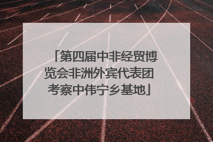 第四届中非经贸博览会非洲外宾代表团考察中伟宁乡基地