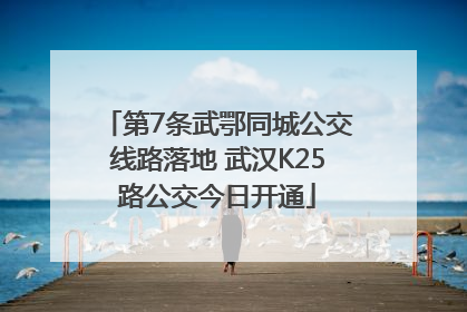 第7条武鄂同城公交线路落地 武汉K25路公交今日开通