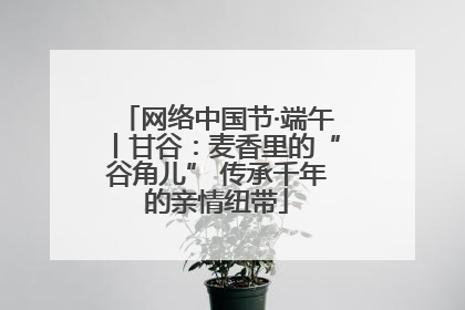 网络中国节·端午丨甘谷：麦香里的“谷角儿” 传承千年的亲情纽带