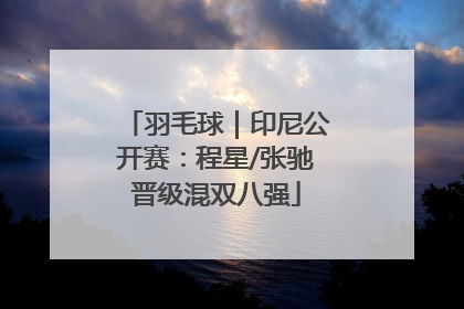 羽毛球｜印尼公开赛：程星/张驰晋级混双八强