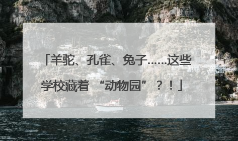 羊驼、孔雀、兔子……这些学校藏着 “动物园”？！