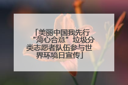 美丽中国我先行 “菏心合意”垃圾分类志愿者队伍参与世界环境日宣传