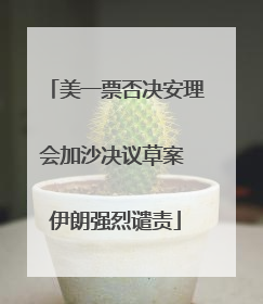 美一票否决安理会加沙决议草案 伊朗强烈谴责
