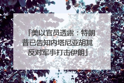 美以官员透露：特朗普已告知内塔尼亚胡其反对军事打击伊朗