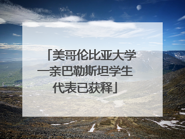 美哥伦比亚大学一亲巴勒斯坦学生代表已获释