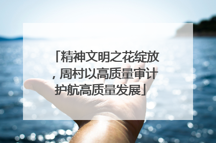 精神文明之花绽放，周村以高质量审计护航高质量发展