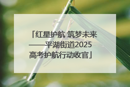 红星护航 筑梦未来——平湖街道2025高考护航行动收官