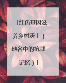 红色基因滋养乡村沃土（地名中的抗战记忆）