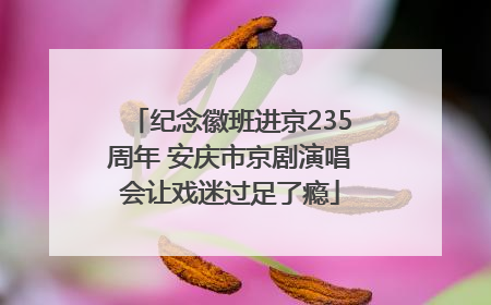 纪念徽班进京235周年 安庆市京剧演唱会让戏迷过足了瘾