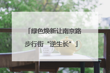 绿色焕新让南京路步行街“逆生长”