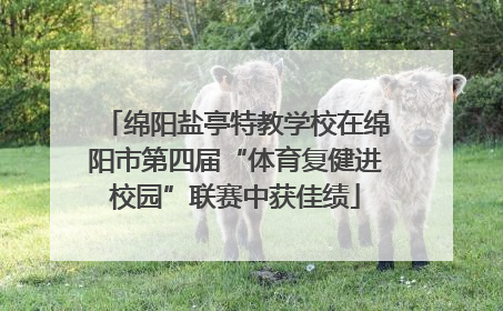 绵阳盐亭特教学校在绵阳市第四届“体育复健进校园”联赛中获佳绩