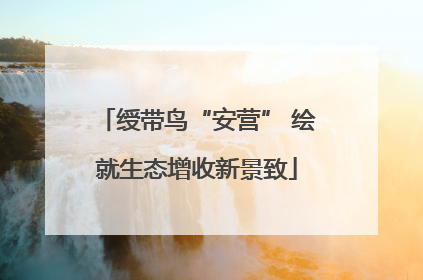 绶带鸟“安营” 绘就生态增收新景致