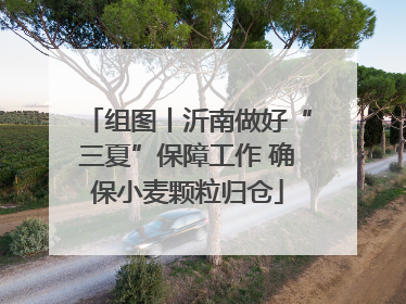 组图丨沂南做好“三夏”保障工作 确保小麦颗粒归仓