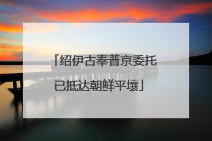 绍伊古奉普京委托已抵达朝鲜平壤
