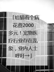 给猫看个病花费2000多元！宠物医疗行业存在乱象，业内人士呼吁→