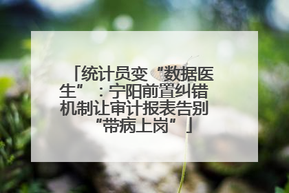 统计员变“数据医生”：宁阳前置纠错机制让审计报表告别“带病上岗”
