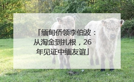 缅甸侨领李伯波：从淘金到扎根，26年见证中缅友谊