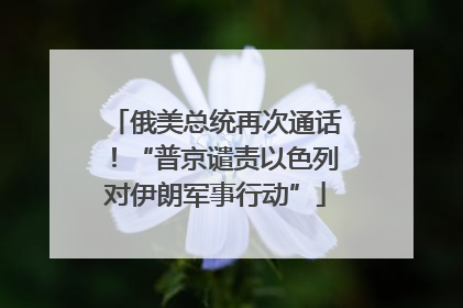 俄美总统再次通话！“普京谴责以色列对伊朗军事行动”