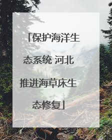 保护海洋生态系统 河北推进海草床生态修复