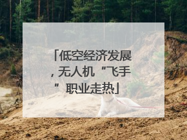 低空经济发展，无人机“飞手”职业走热
