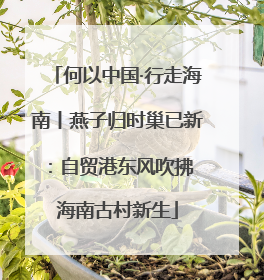 何以中国·行走海南丨燕子归时巢已新：自贸港东风吹拂 海南古村新生