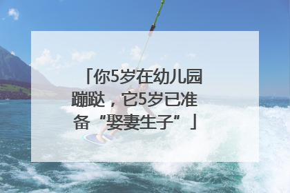 你5岁在幼儿园蹦跶，它5岁已准备“娶妻生子”