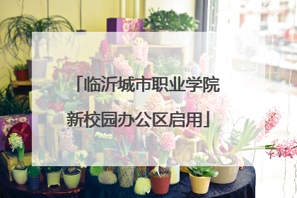 临沂城市职业学院新校园办公区启用