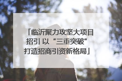 临沂聚力攻坚大项目招引 以“三重突破”打造招商引资新格局
