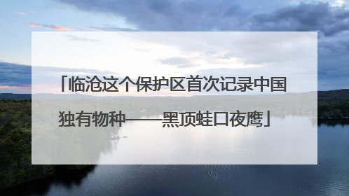 临沧这个保护区首次记录中国独有物种——黑顶蛙口夜鹰