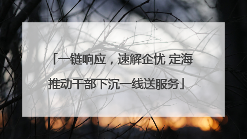 一链响应，速解企忧 定海推动干部下沉一线送服务