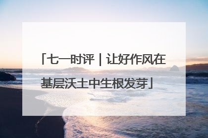 七一时评｜让好作风在基层沃土中生根发芽