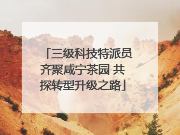 三级科技特派员齐聚咸宁茶园 共探转型升级之路