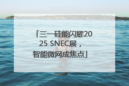 三一硅能闪耀2025 SNEC展，智能微网成焦点