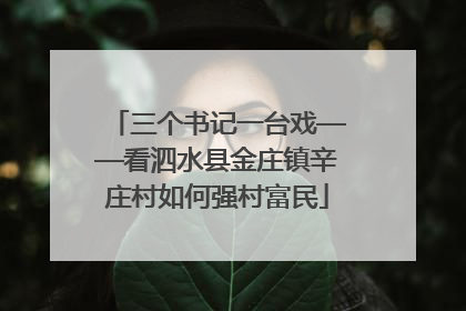 三个书记一台戏——看泗水县金庄镇辛庄村如何强村富民