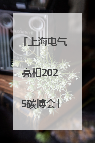 上海电气亮相2025碳博会