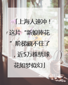 上海人速冲！这片“新娘捧花”阶梯藏不住了，近5万株绣球花如梦似幻