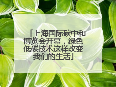 上海国际碳中和博览会开幕，绿色低碳技术这样改变我们的生活