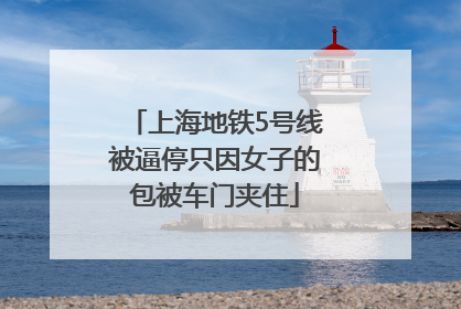 上海地铁5号线被逼停只因女子的包被车门夹住