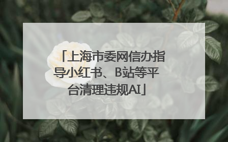 上海市委网信办指导小红书、B站等平台清理违规AI