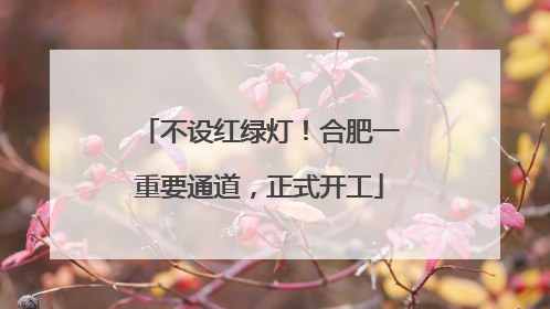 不设红绿灯！合肥一重要通道，正式开工