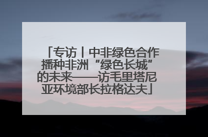 专访丨中非绿色合作播种非洲“绿色长城”的未来——访毛里塔尼亚环境部长拉格达夫