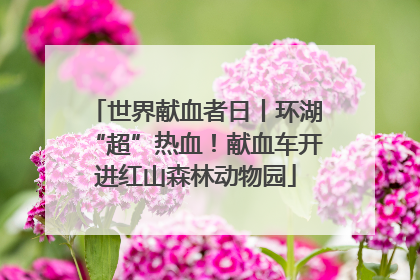 世界献血者日丨环湖“超”热血！献血车开进红山森林动物园