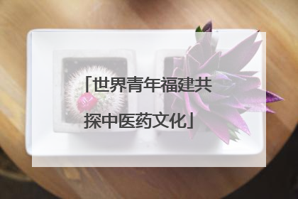 世界青年福建共探中医药文化